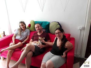 Curso diseño web Valencia Agosto 17